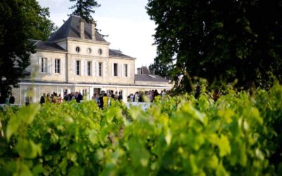 Château Haut Nouchet